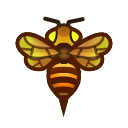 Wasp