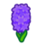 Purple Hyacinth