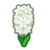 White Hyacinth